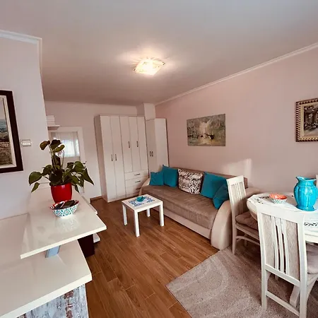 Apartment Dorcol Dream Belgrade